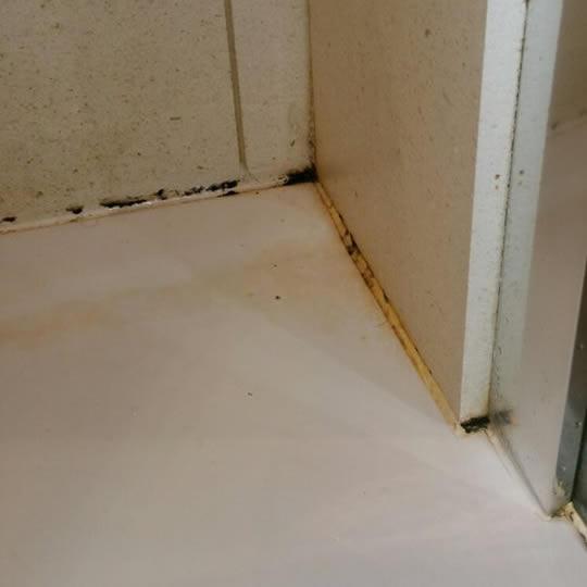 Mouldy shower silicon - use Waterstop!